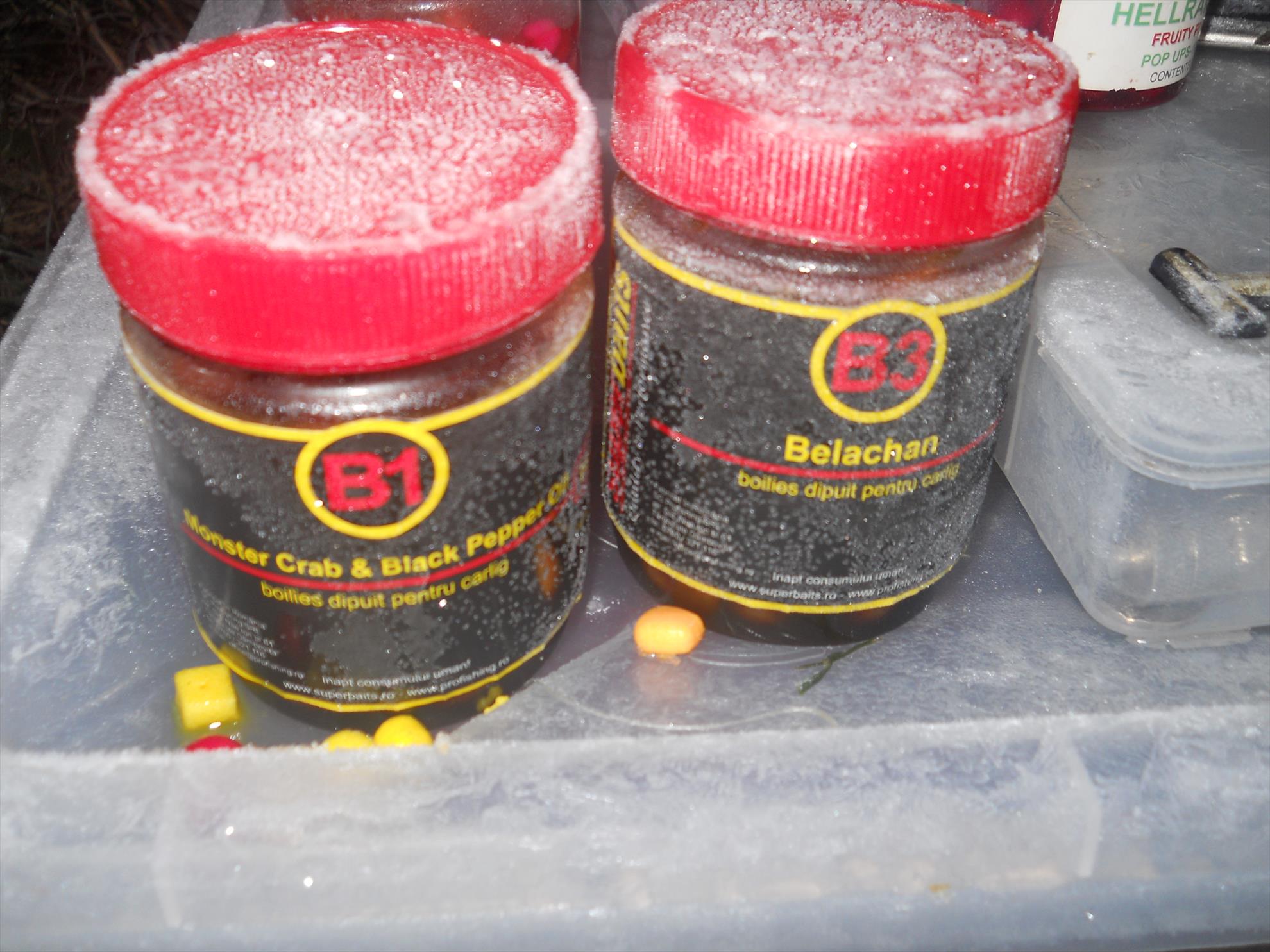 Pescuit la crap - dscn1711.jpg